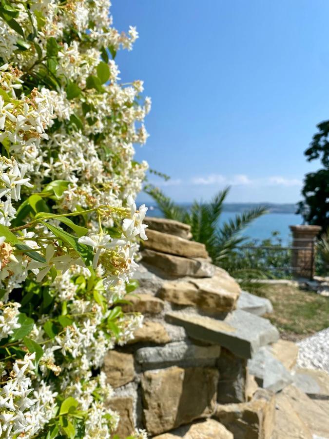 Sunvilla Koper városi község Kültér fotó