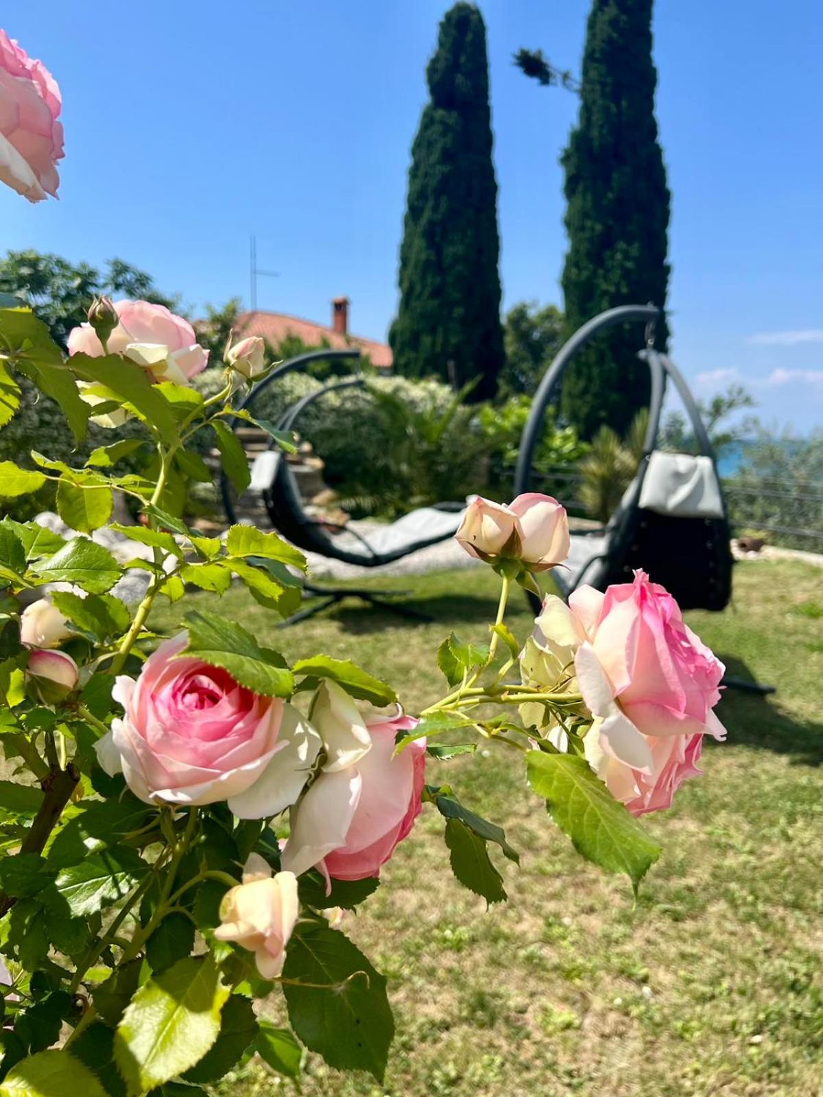Sunvilla Koper városi község Kültér fotó